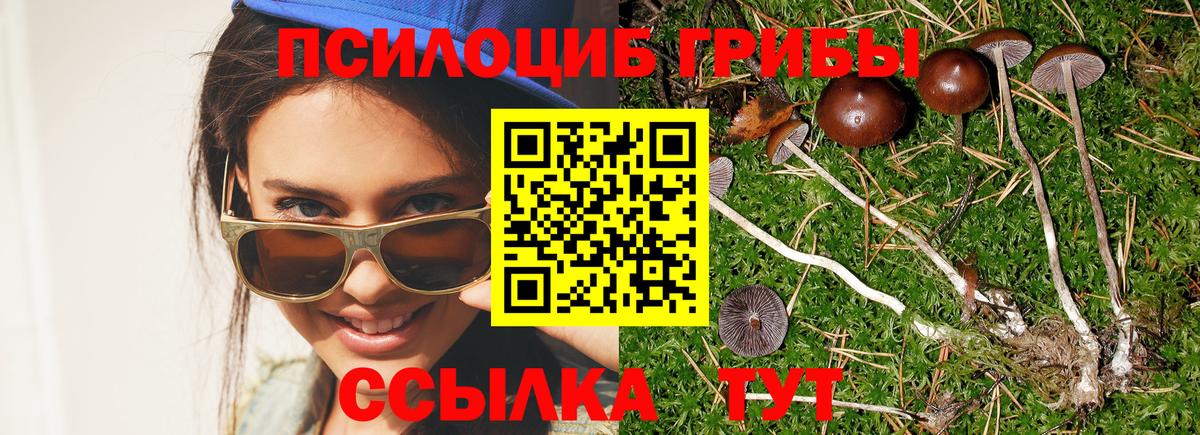 Псилоцибиновые грибы Cubensis  Вход с VPN  Псилоцибиновые грибы GOLDEN TEACHER  Нягань 
