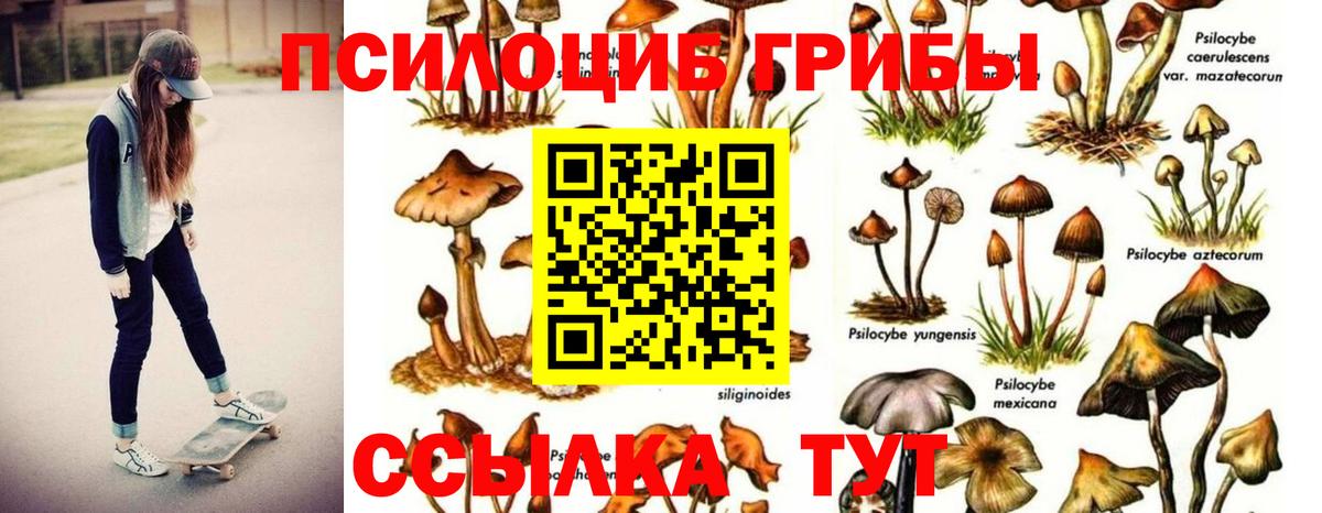 Галлюциногенные грибы Magic Shrooms Нягань