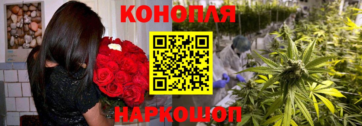 Нягань  МАРИХУАНА гибрид  Конопля марихуана  Вход с VPN 